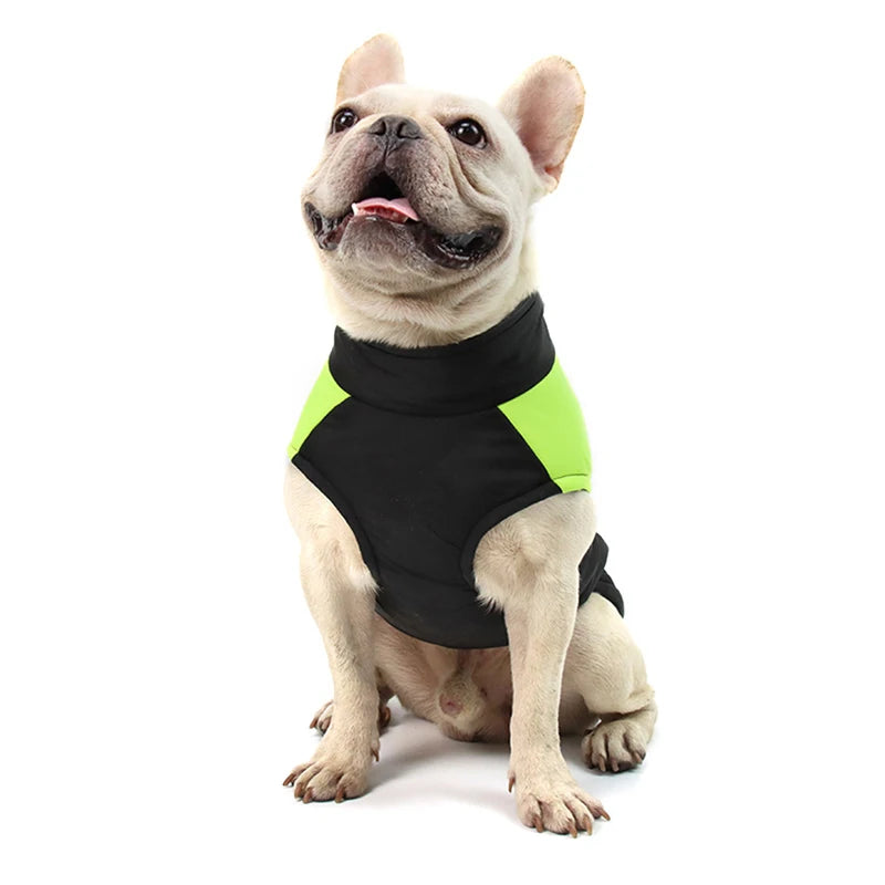 Frenchie Winter Dog Jackets