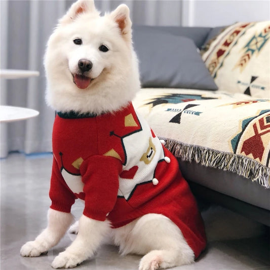 Winter Sweater For Samoyed