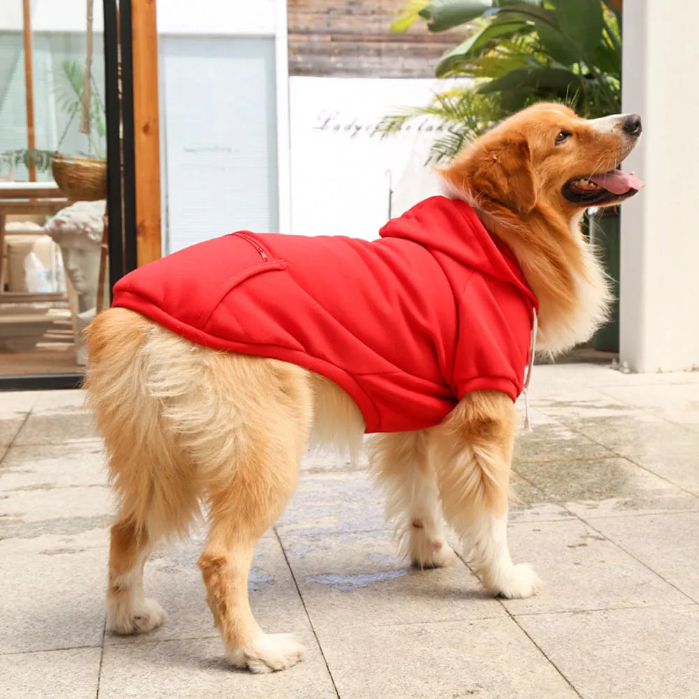 Golden Retriever Pocket Hoodies