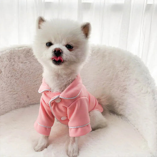 Pomeranian Cozy Fashion Outfit