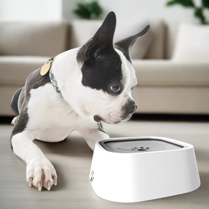 No-Spill Pet Water Bowl