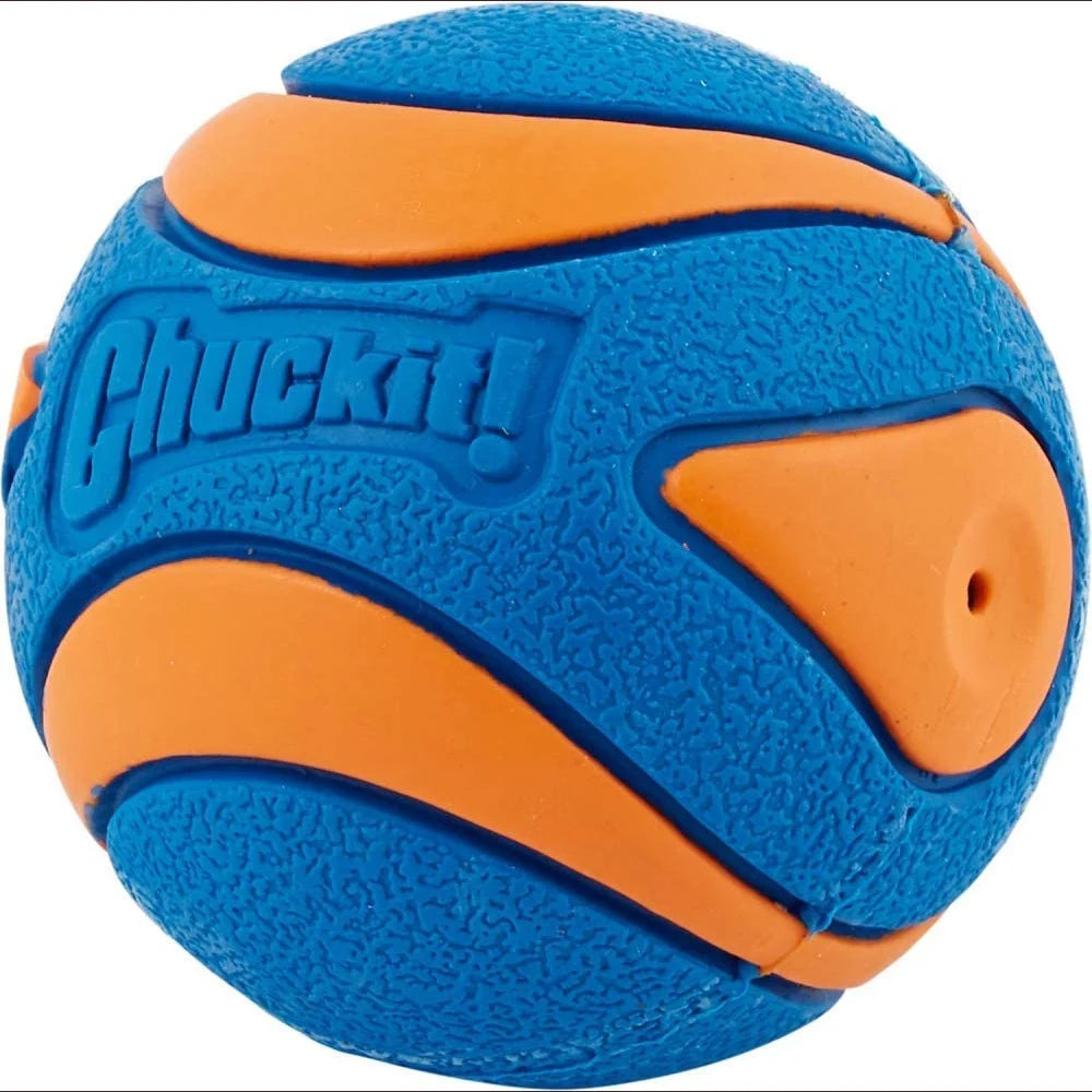 Dog Chuckit Ball Toy