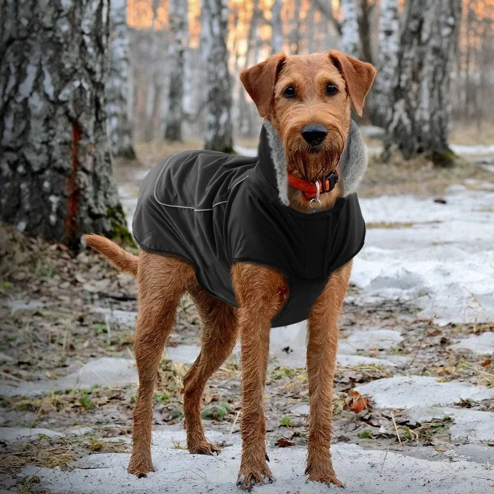 Waterproof Malinois Winter Coat: Durable Jacket for Cold Weather Protection