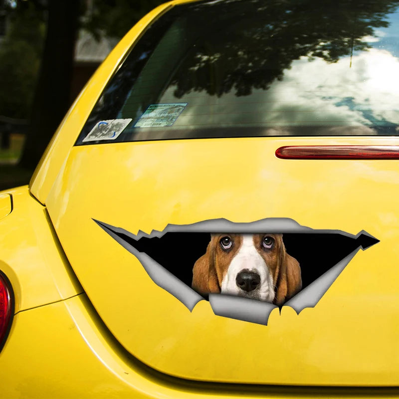 Basset Hound Peeking Car Sticker