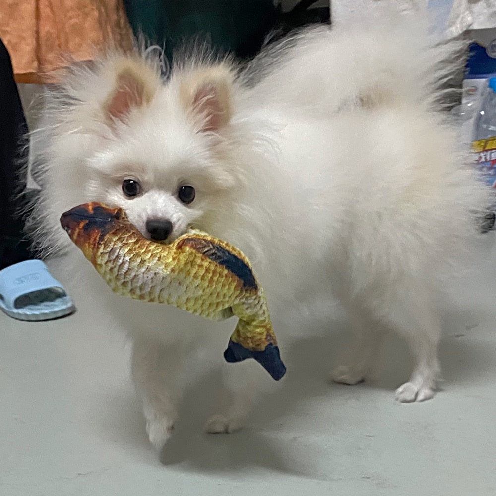 Doggo Floppy Fish Toy