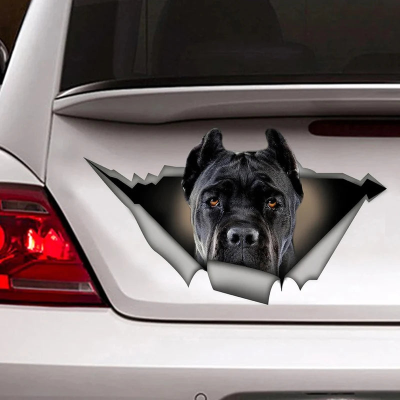 Black Cane Corso Car Sticker