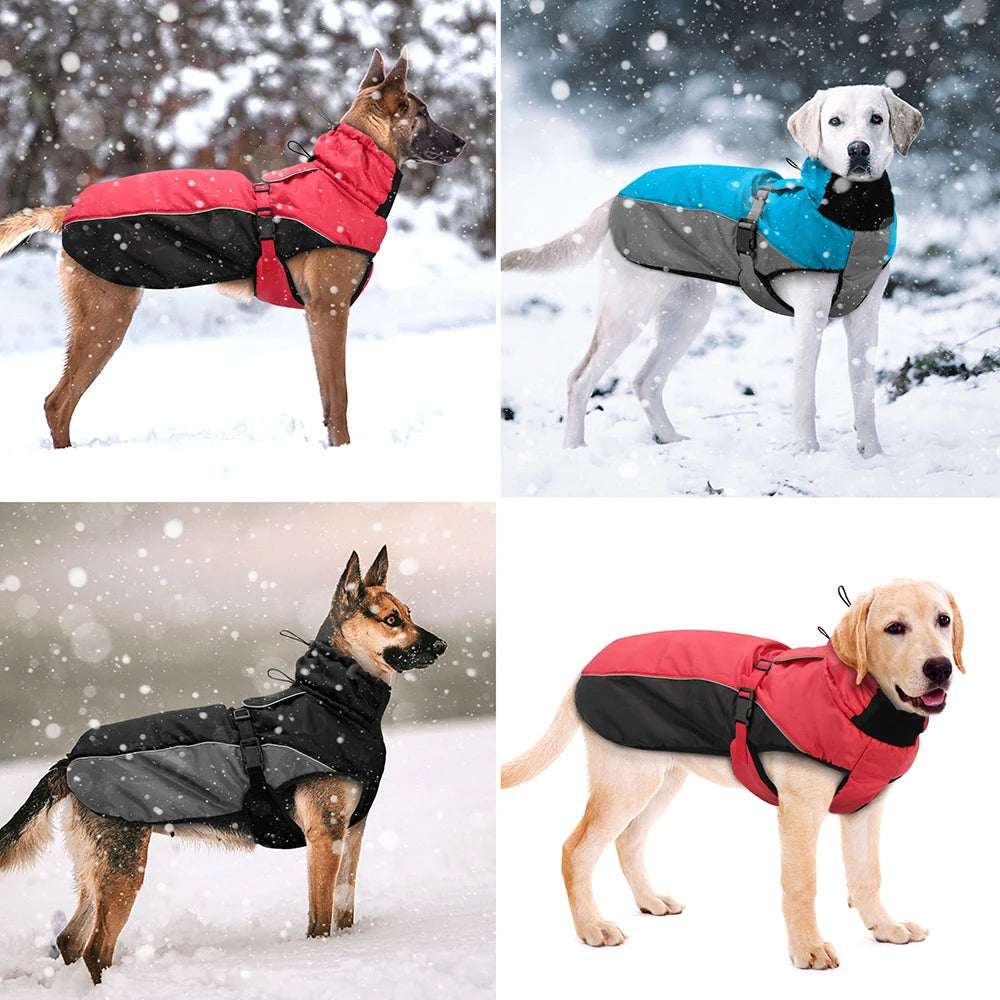 Waterproof Jacket For Labrador