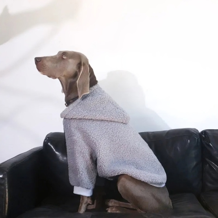 Winter Weimaraner Soft Hoodies