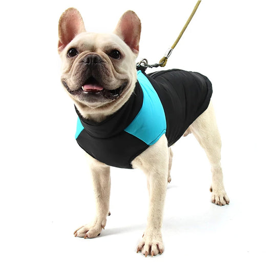 Frenchie Winter Dog Jackets