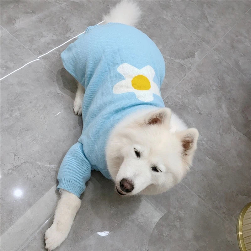 Winter Sweaters For Samoyed