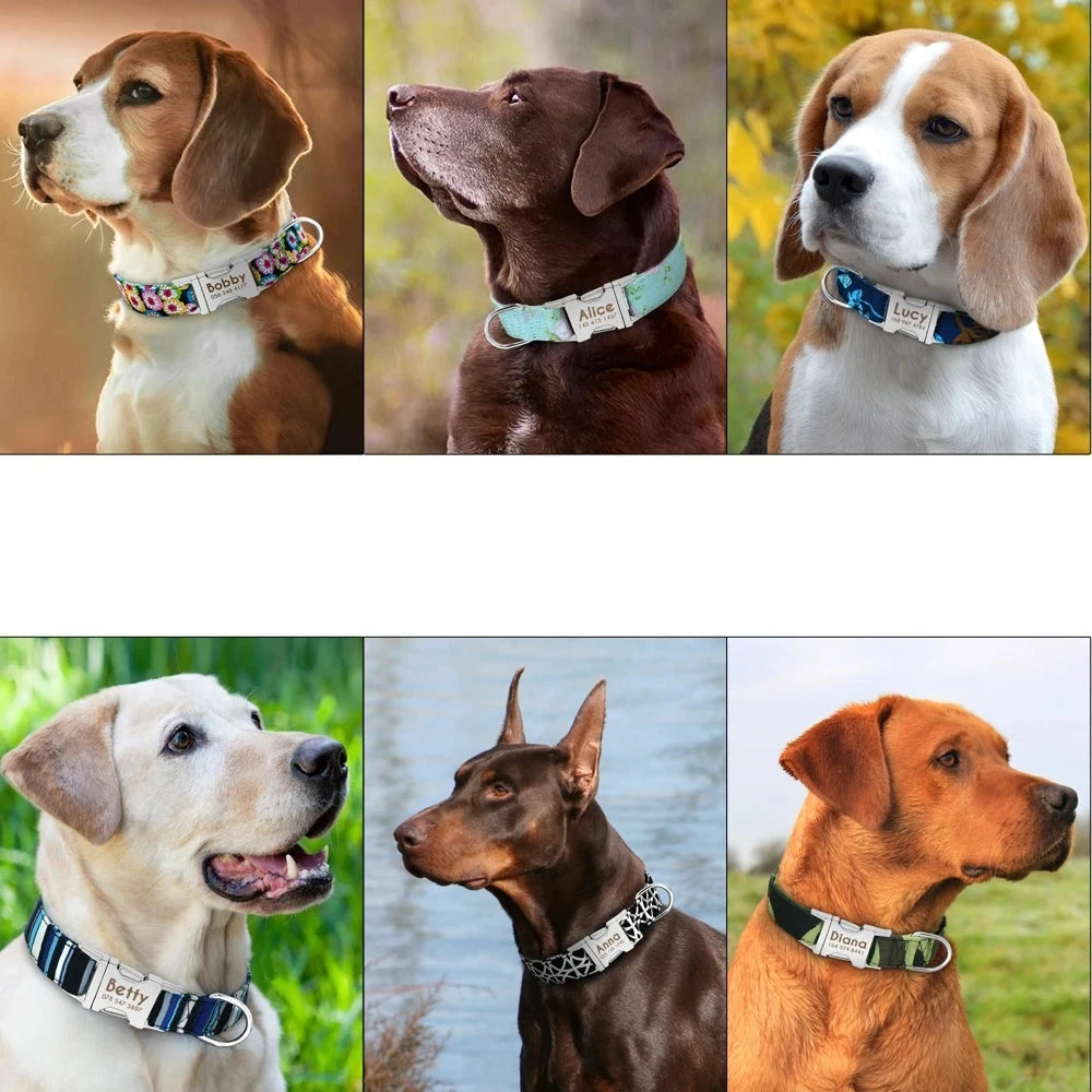 Personalized Durable Dog Collar