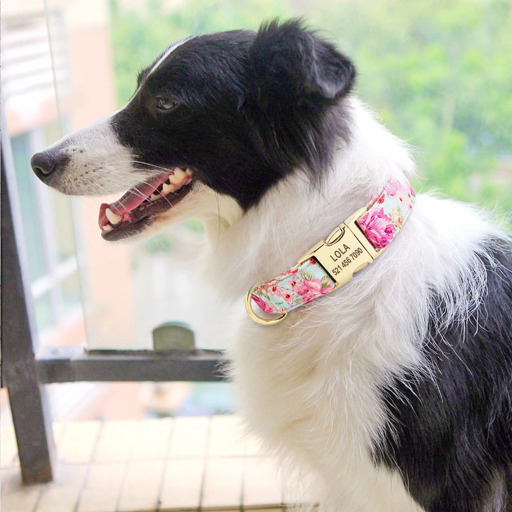 Personalized Durable Dog Collar