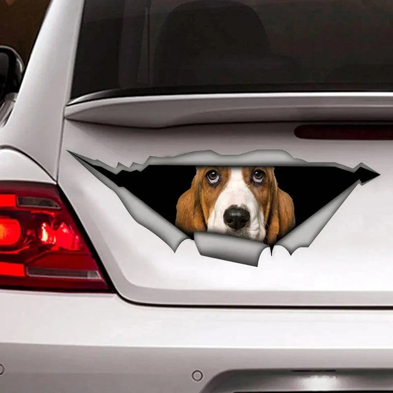 Basset Hound Peeking Car Sticker