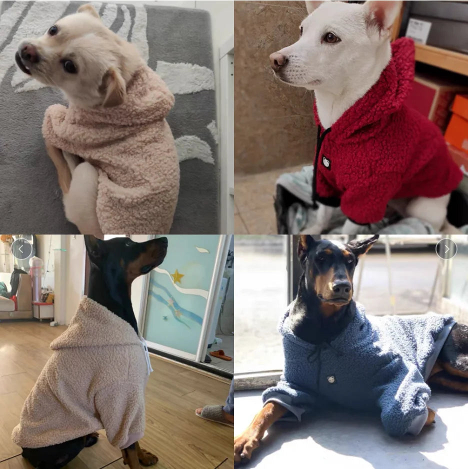 Winter Weimaraner Soft Hoodies