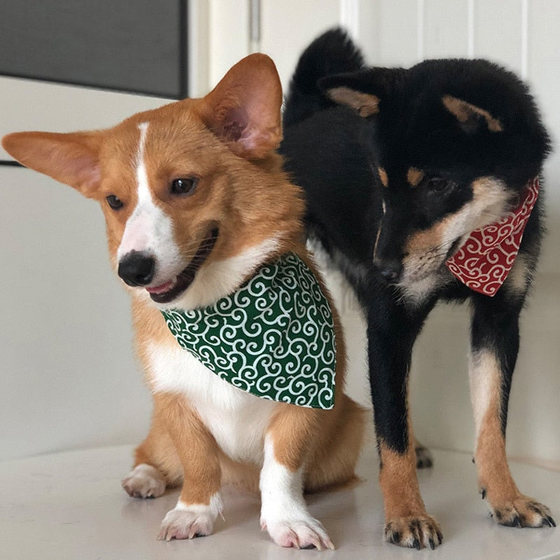 Cool Dog Bandanas