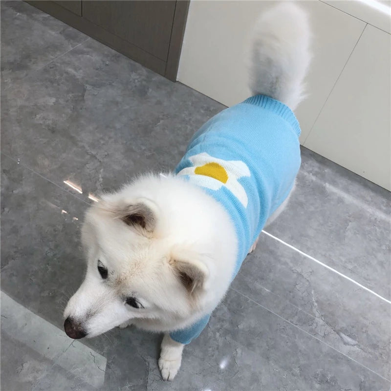 Winter Sweaters For Samoyed