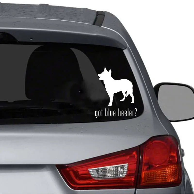 Got Blue Heeler Car Sticker