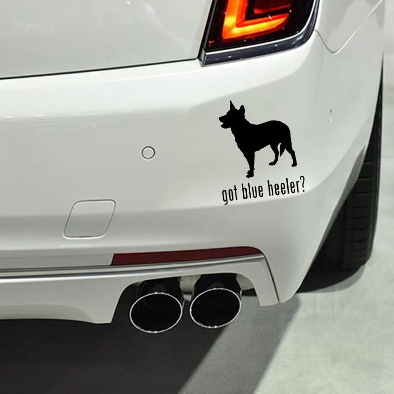 Got Blue Heeler Car Sticker