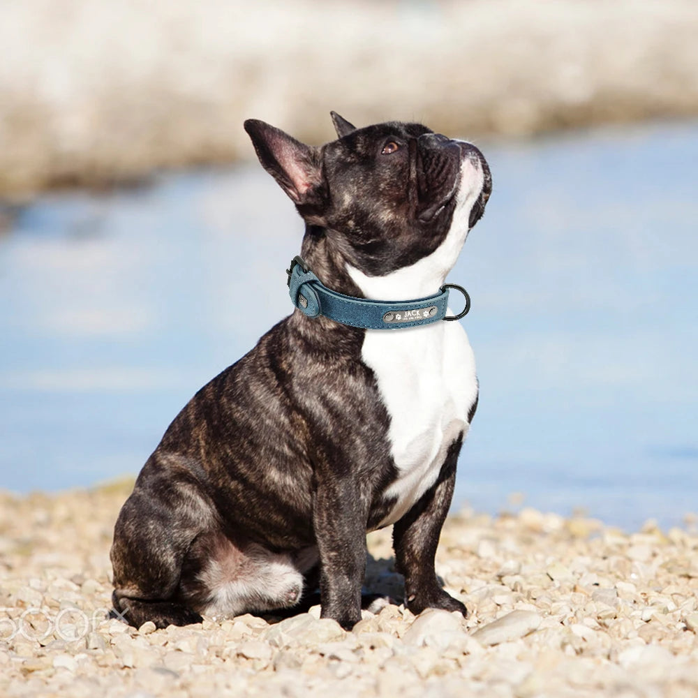 Personalized Leather Dog Collars