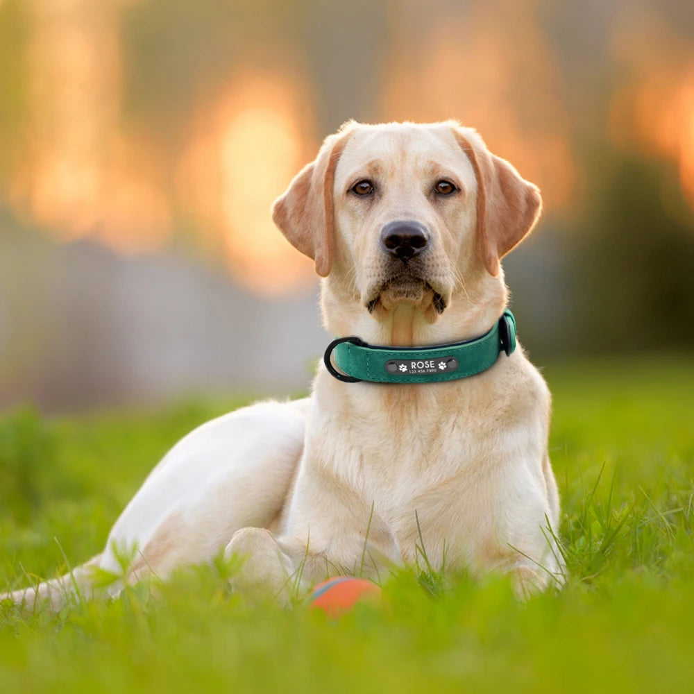 Personalized Leather Dog Collars