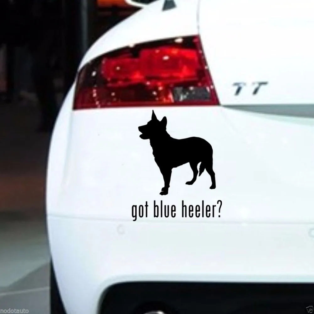 Got Blue Heeler Car Sticker