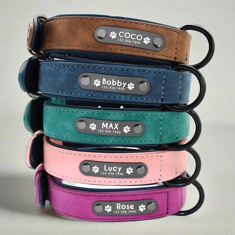 Personalized Leather Dog Collars