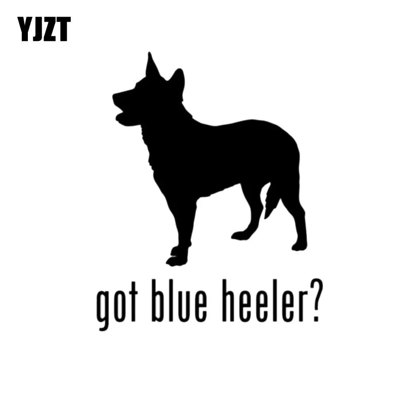 Got Blue Heeler Car Sticker