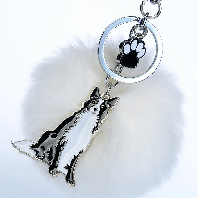 Border Collie Paw Key Chain