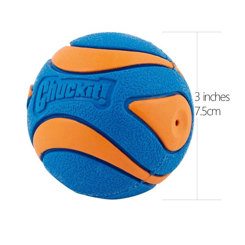 Dog Chuckit Ball Toy