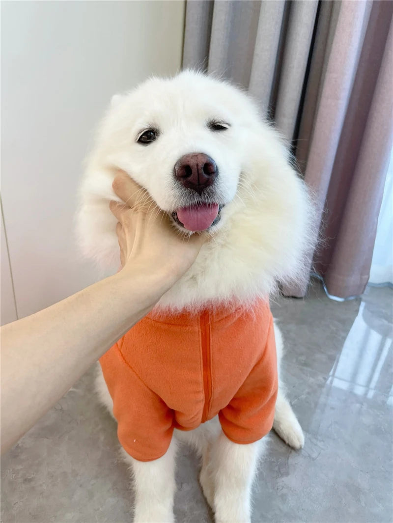 Samoyed Fashion Winter Dress