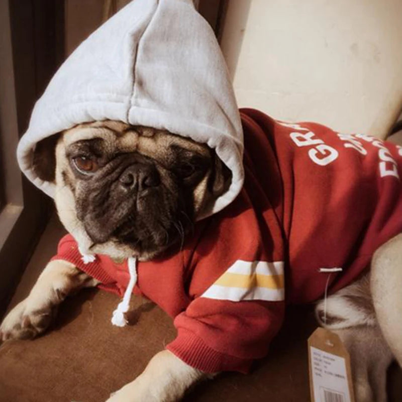 Fashion Hoodies for French Bulldog