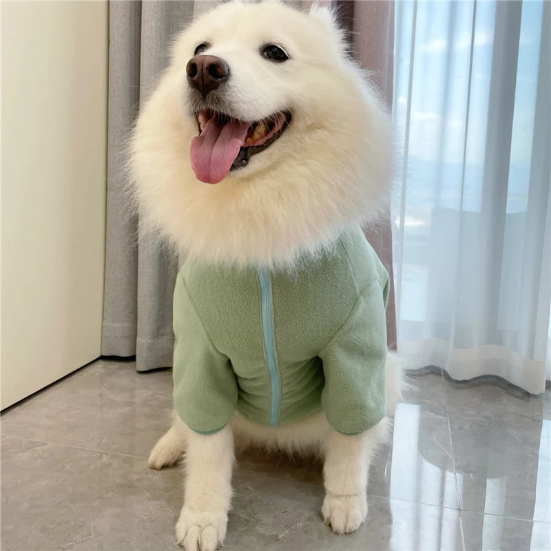 Samoyed Fashion Winter Dress