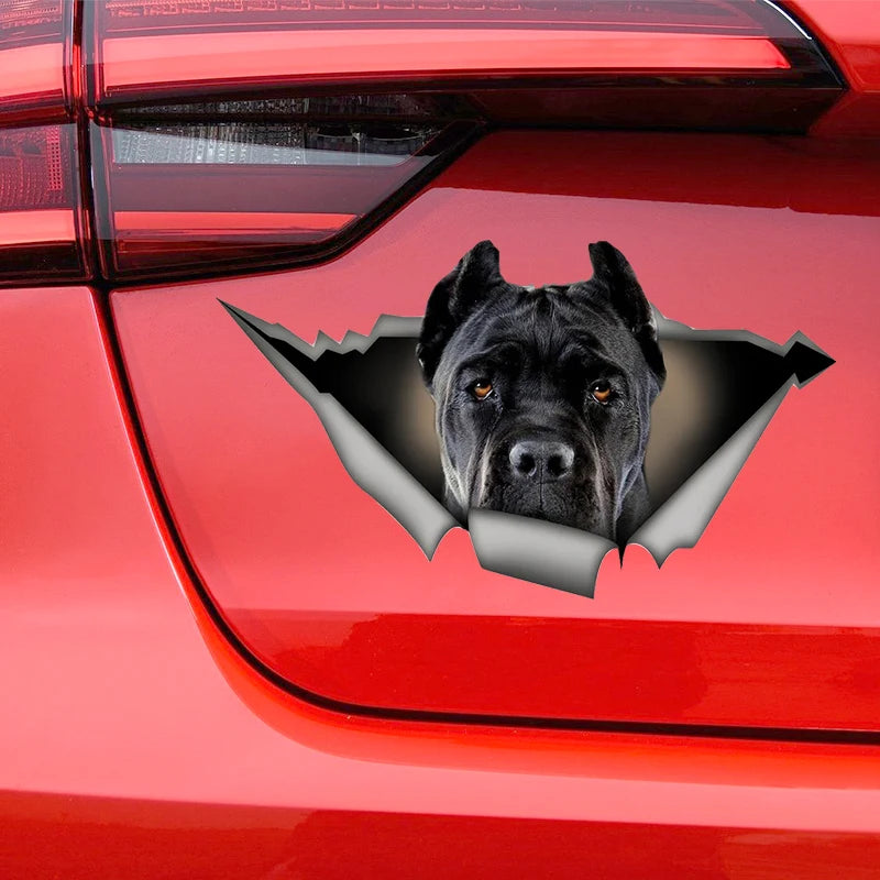 Black Cane Corso Car Sticker