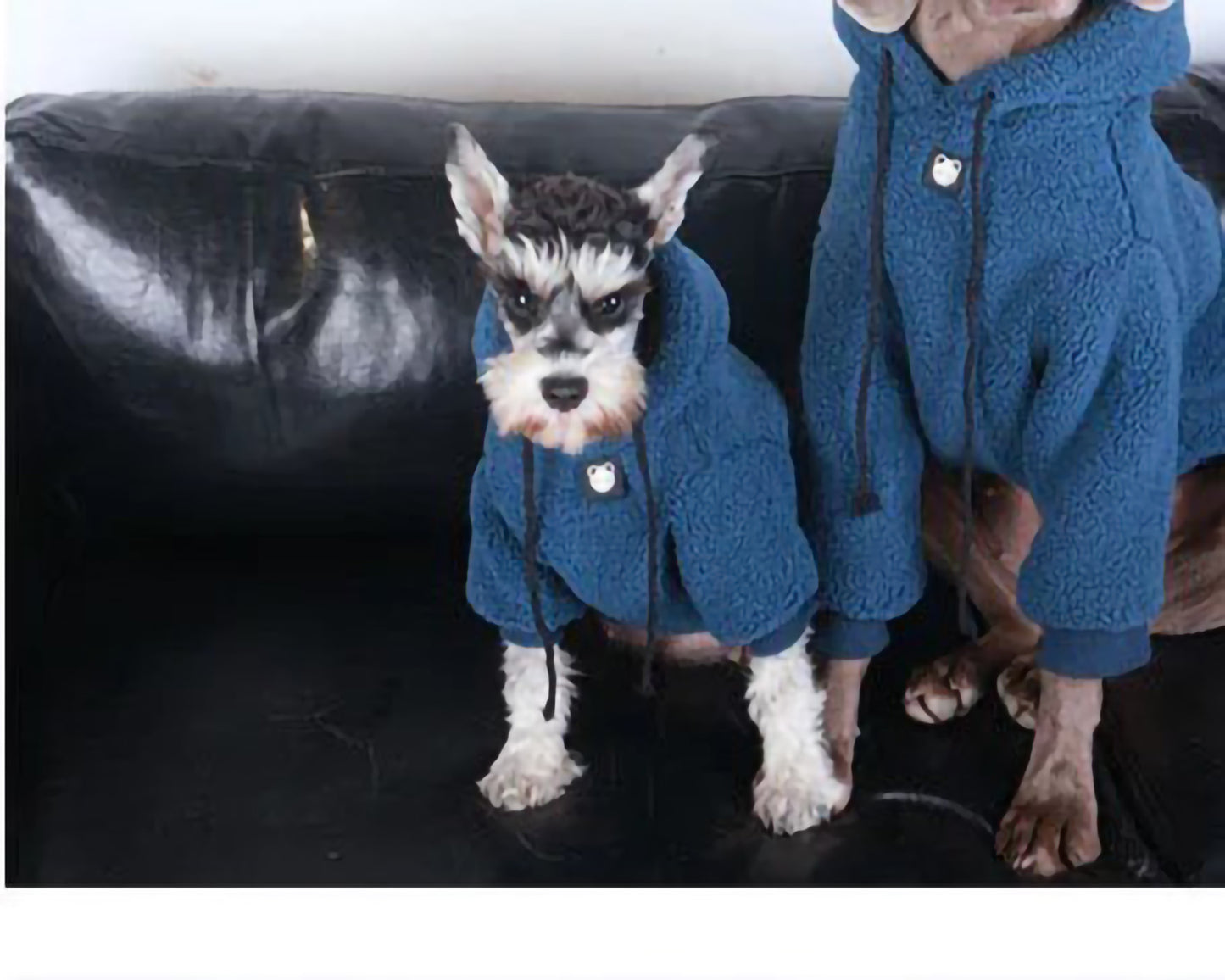 Winter Schnauzer Soft Hoodies