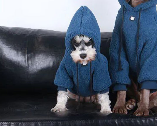 Winter Schnauzer Soft Hoodies