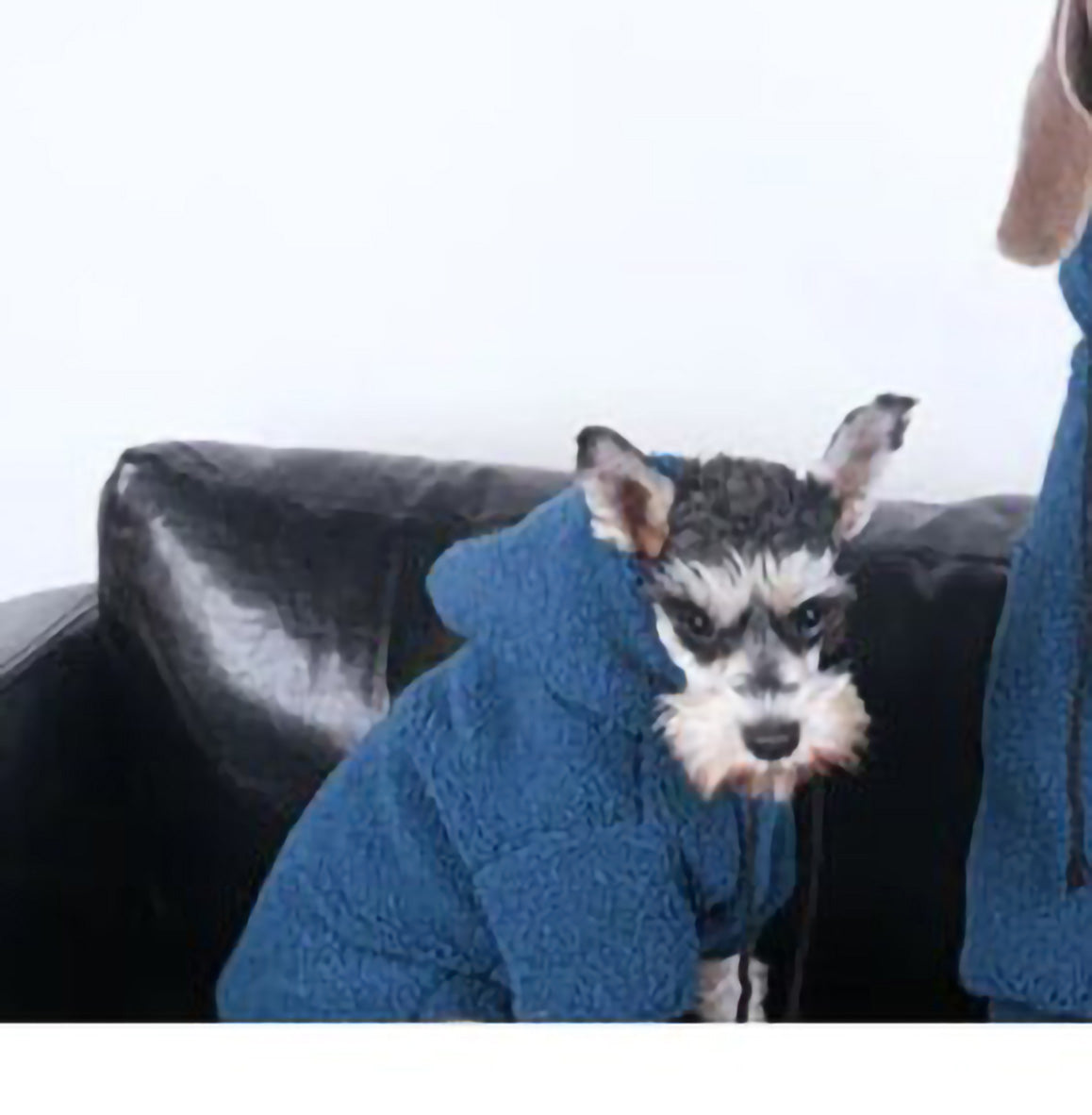 Winter Schnauzer Soft Hoodies