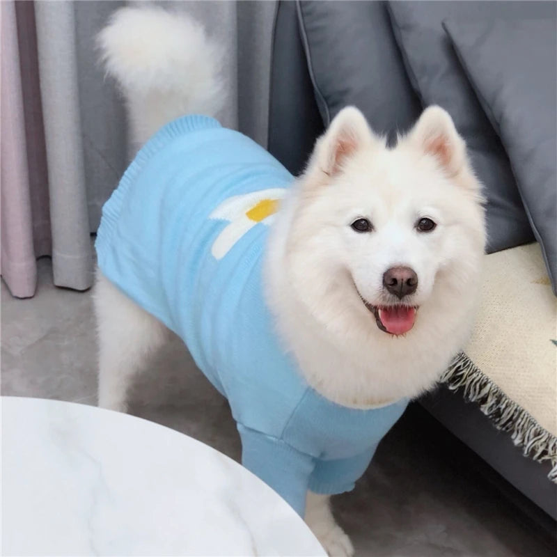 Winter Sweaters For Samoyed