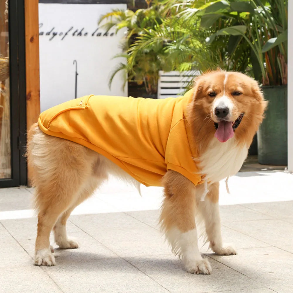 Golden Retriever Pocket Hoodies