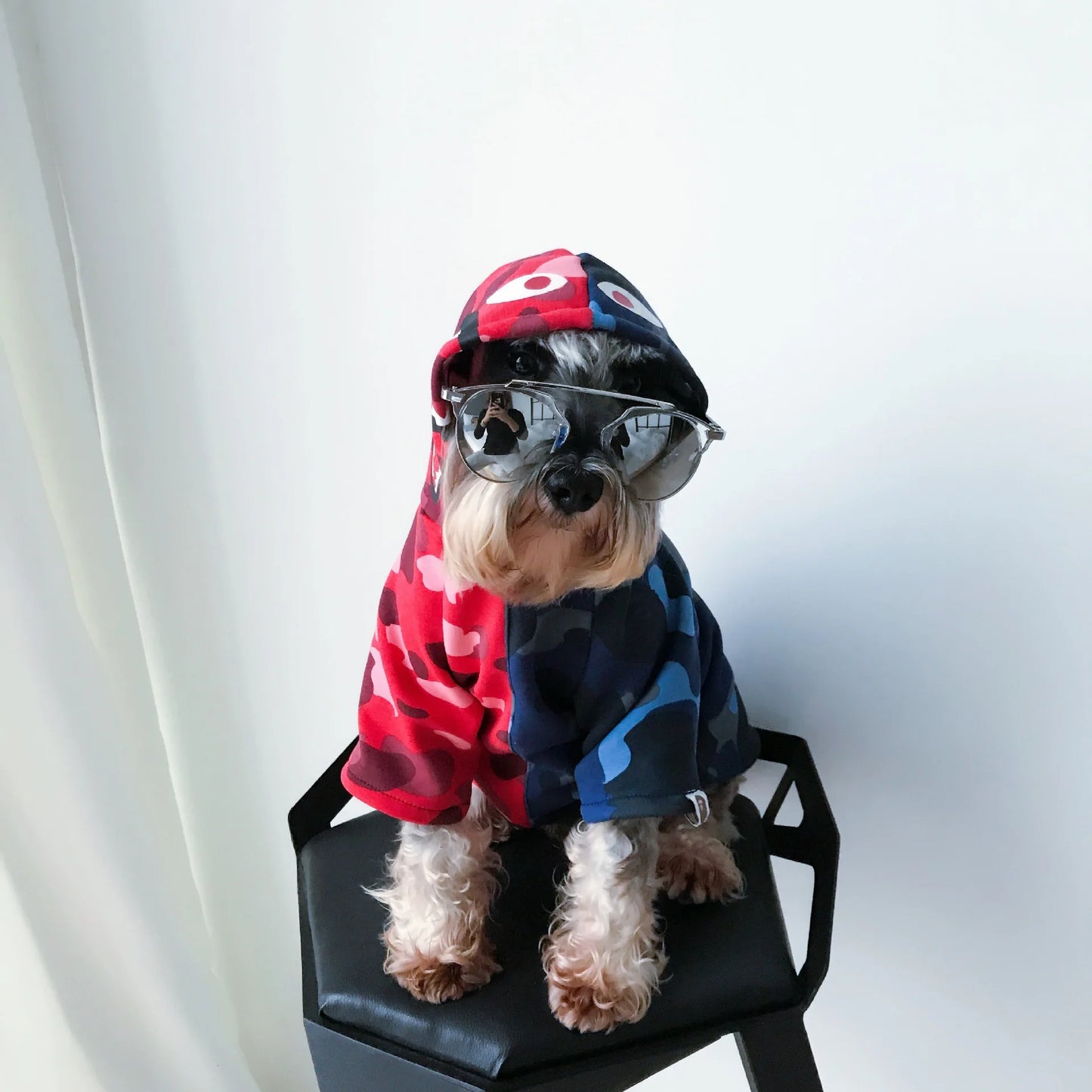 Schnauzer Cool Winter Hoodie