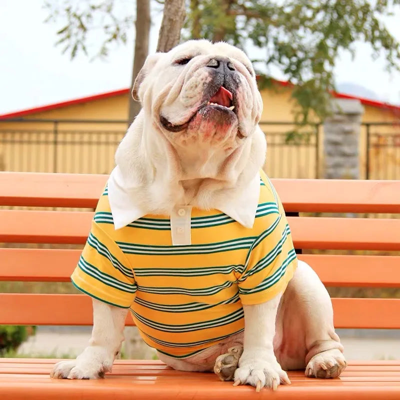 Frenchie Stripe Polo T-shirt