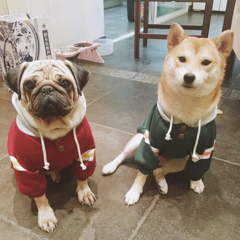 Fashion Hoodies for Shiba Inu