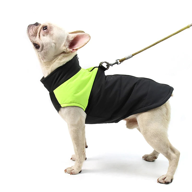 Frenchie Winter Dog Jackets