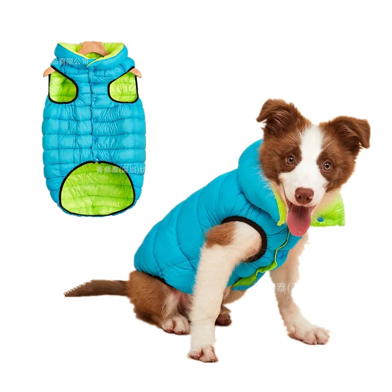 Border Collie Warm Winter Vest