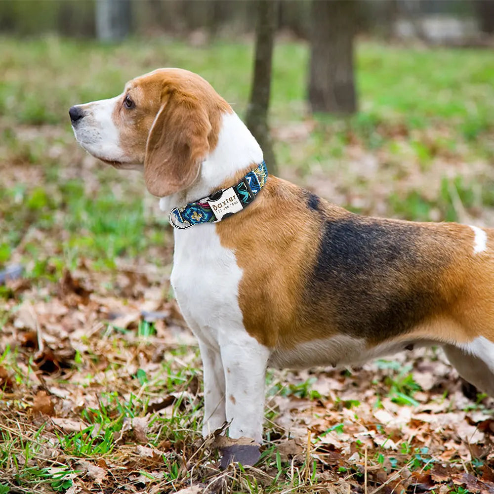 Personalized Durable Dog Collar