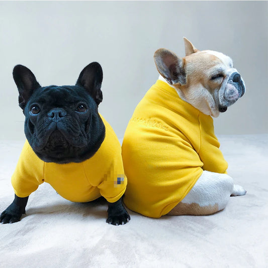 Frenchie Solid Dog Sweater