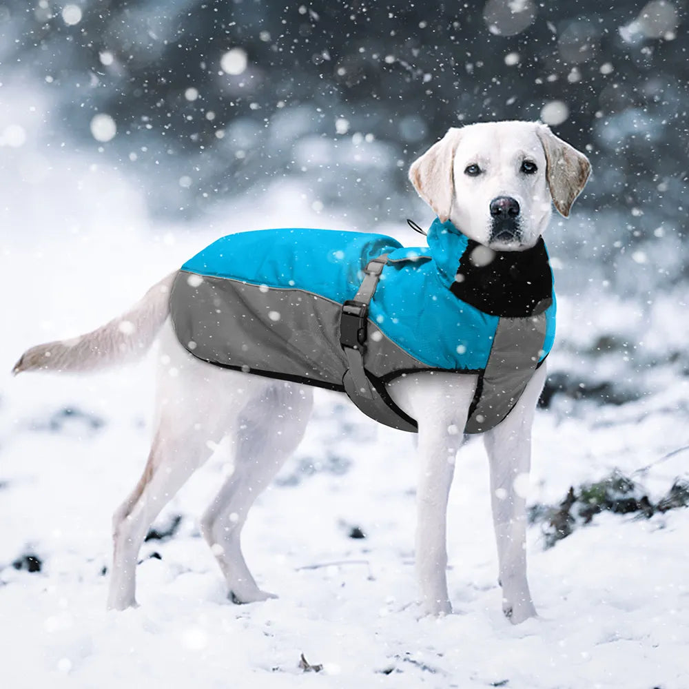 Waterproof Jacket For Labrador