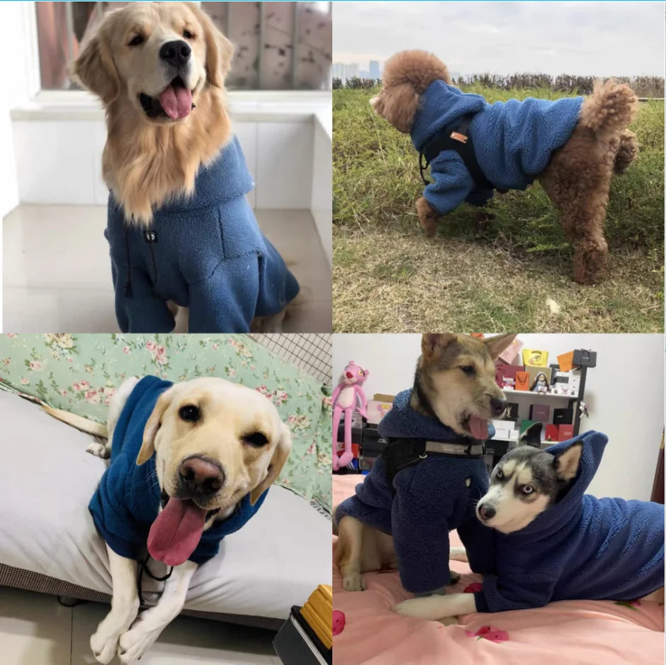 Winter Hoodie for Labrador