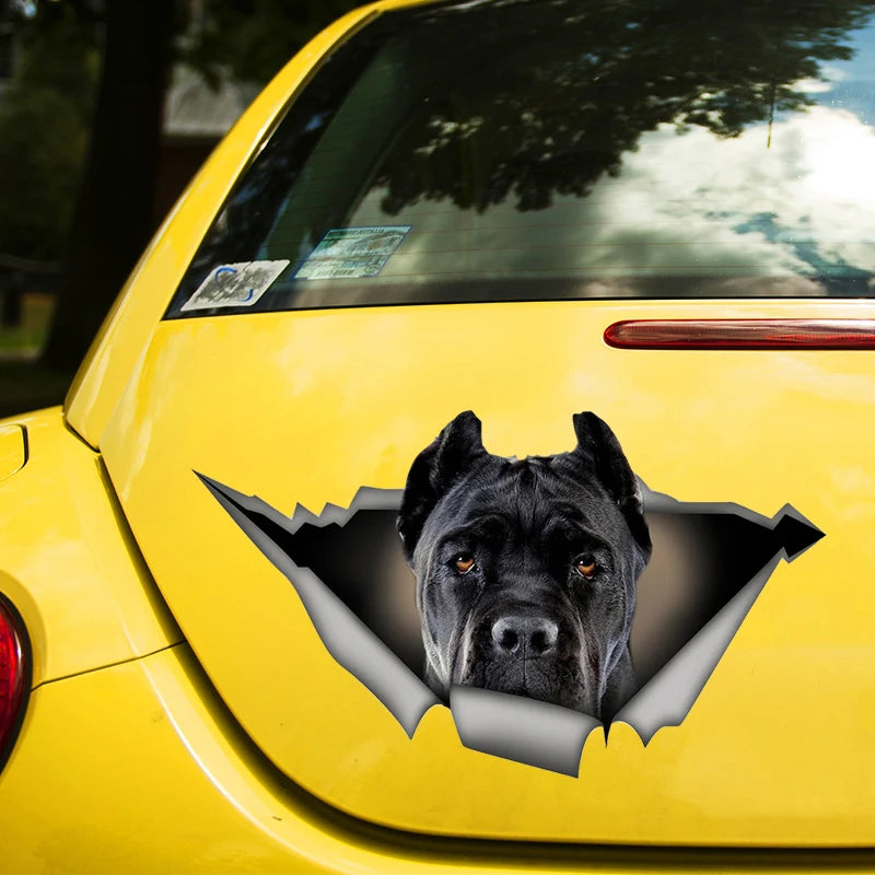 Black Cane Corso Car Sticker