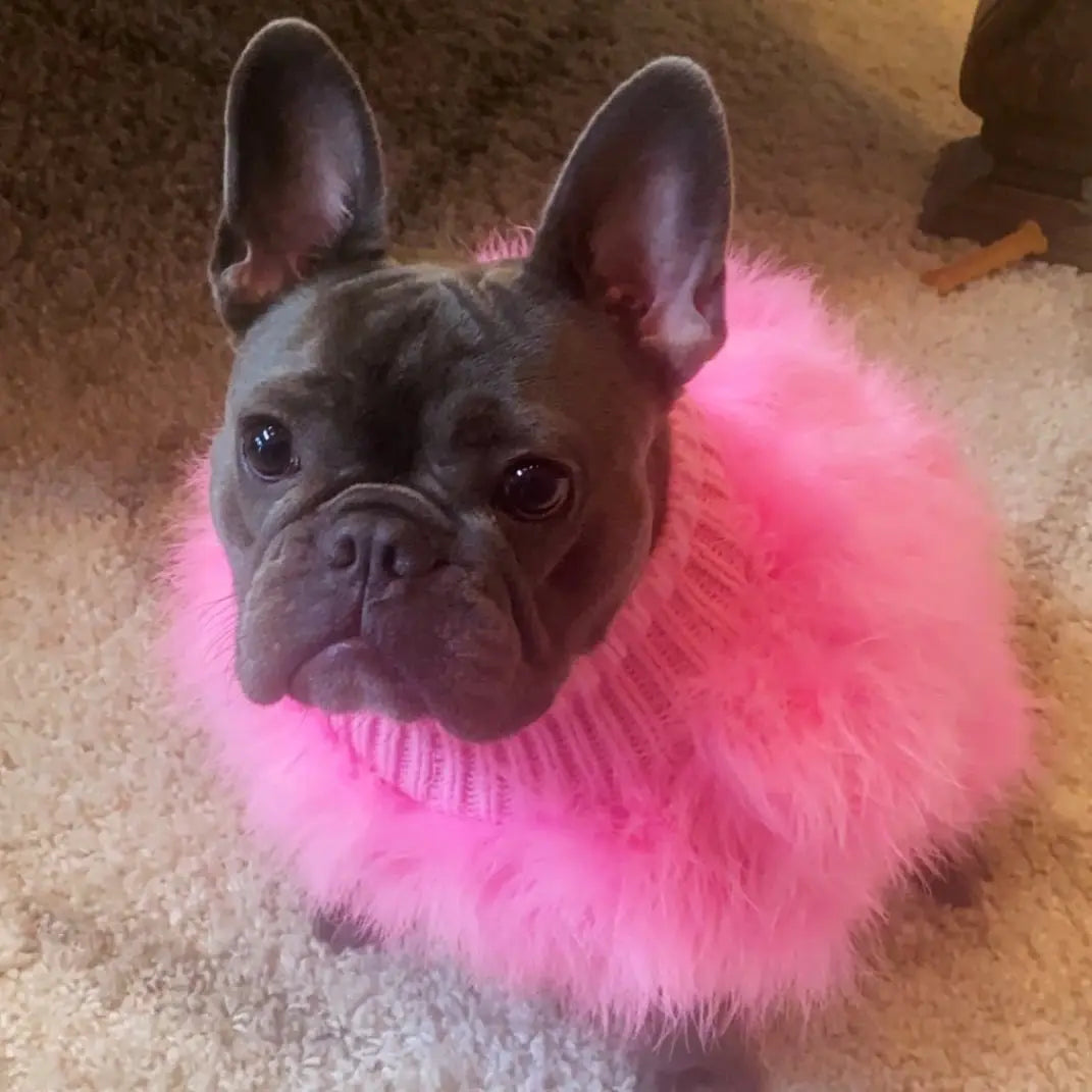 Frenchie Luxury Fur Coat