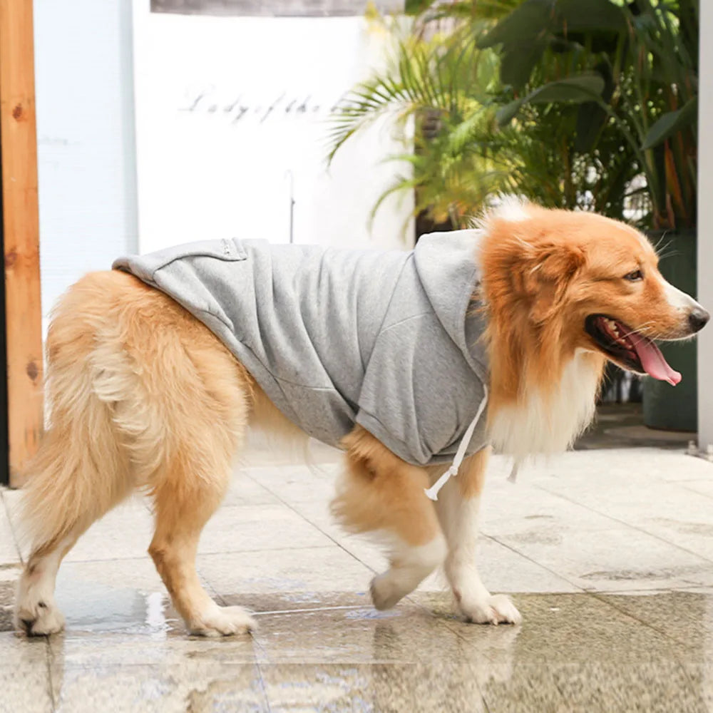 Golden Retriever Pocket Hoodies